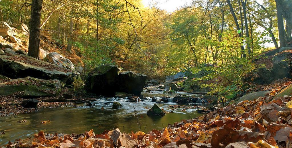 فندق Saint-Rémy-lès-Chevreuseفي  Au Bord Du Lac المظهر الخارجي الصورة